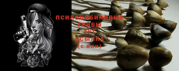 таблы Пересвет